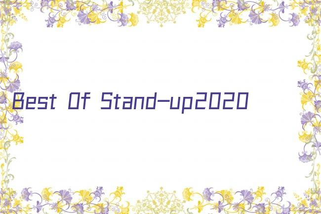 Best Of Stand-up2020剧照